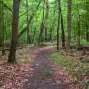 Along the Red Trail in Mount Hope Historical Park. Photo by Daniel Chazin.