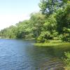 Ramapo Lake - Photo by Daniel Chazin
