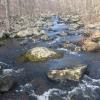 Stream crossing on the Red Back Trail in Sterling Forest State Park. Photo by Daniel Chazin.