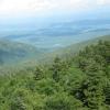 View from Indian Head Mountain - Photo by Daniel Chazin