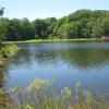John Allen Pond - Photo by Daniel Chazin