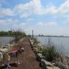 Views at DeKorte Park - Photo credit: Daniela Wagstaff