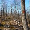 Along the Orange Trail - Photo credit: Daniela Wagstaff