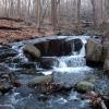 Roaring Brook in the Winter - Lamont Reserve - Photo credit: Jakob Franke