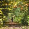 Along the Wallkill Valley Rail Trail - Photo credit: Daniela Wagstaff