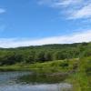 View of Trout Pond - Western Catskills - Photo credit: Daniel Chazin