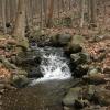 Waterfall - Photo credit: Daniel Chazin
