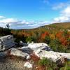 View from the Millbrook Mountain Carriage Road - Photo credit: Daniela Wagstaff