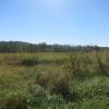 Flatbrook-Roy Wildlife Management Area - Photo by Daniel Chazin