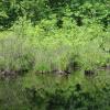 Wetlands Photo: Jane Daniels