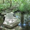 Stepping stones over a wet area Photo: Jane Daniels