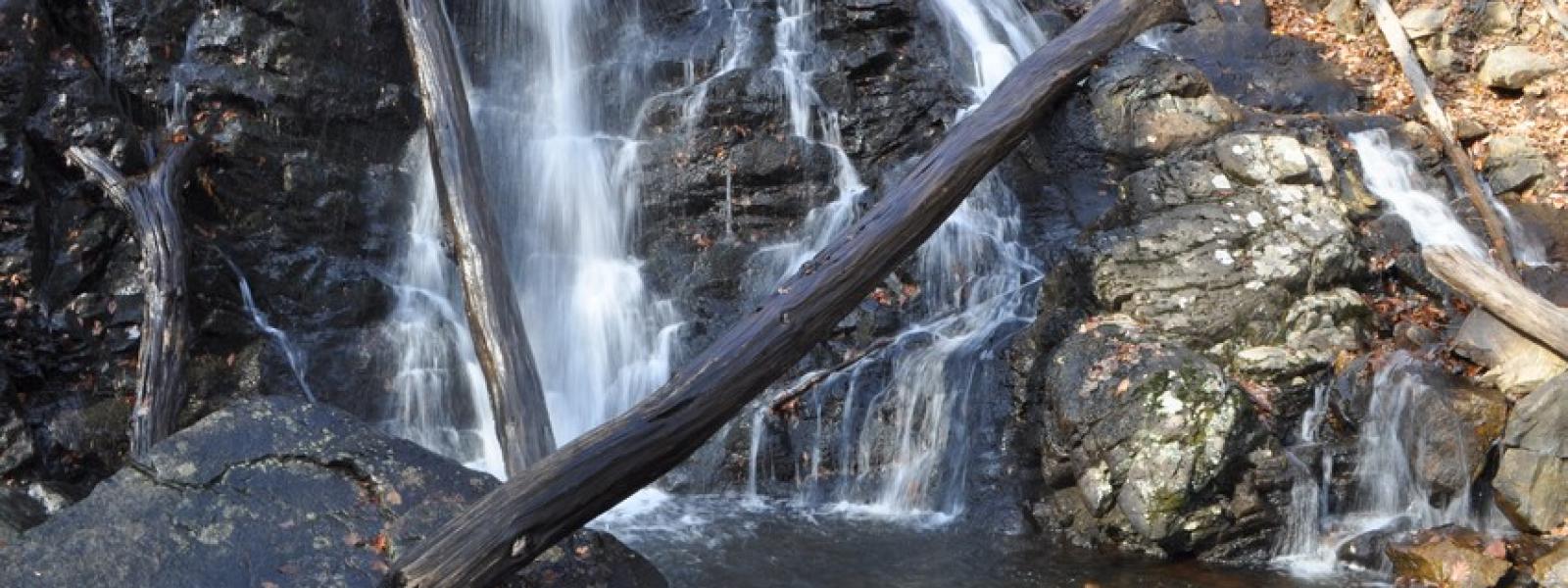 buttercup falls