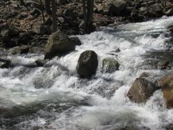 Cascades in the brook along the Macavoy Trail. Photo by Daniel Chazin.