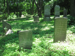 Franny Reese Cemetery. Photo by Daniel Chazin.