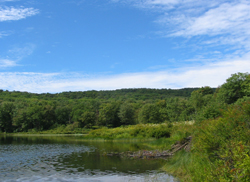 Mud Pond. Photo by Daniel Chazin.