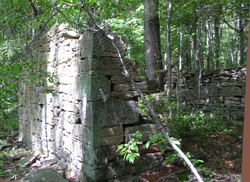 Foundations on Mud Pond Trail. Photo By Daniel Chazin.