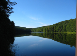 Trout Pond from near the dam at its southern edge. Photo by Daniel Chazin.