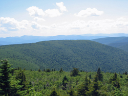 Viewpoint near Spurceton and Hunter Mountain Trails Juntion. Photo by Daniel Chazin.